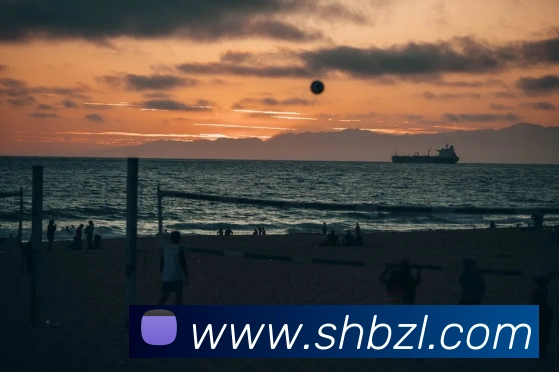 企业概况
